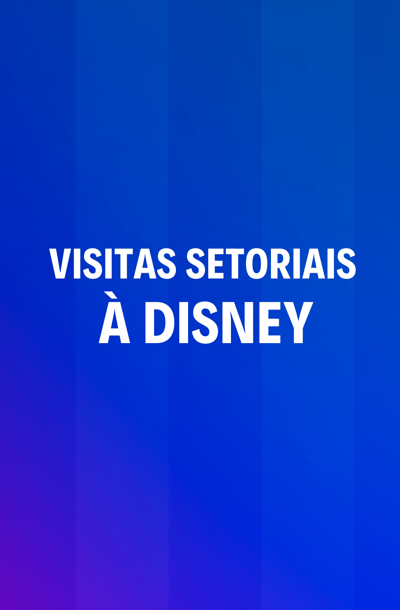 Visitas setoriais a Disney